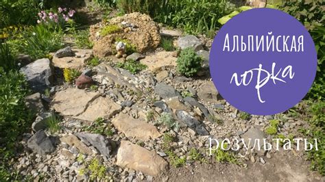 Альпийская горка🌲🌻 - YouTube