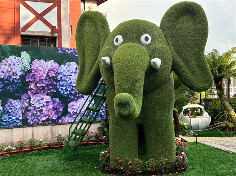 Hortênsias Garden na Rua Torta em Gramado tem jardins temáticos e