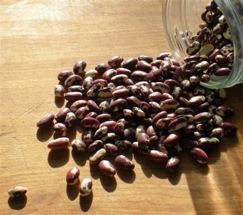 How To Make A Simple Pot Of Anasazi Beans Recipe