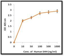 Human Shh Sonic Hedgehog Protein Recombinant Lsbio