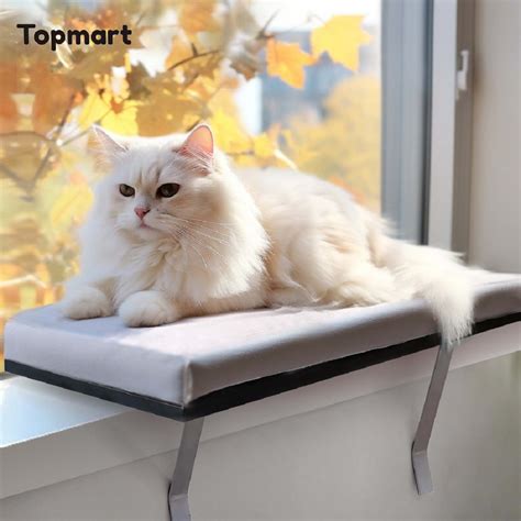 Topmart Cat Window Perch Bed,Pet Sunny Seat Cat Bed for Window Sill ...