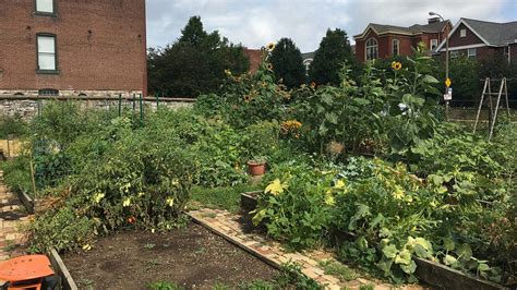 Scaling Up Urban Agriculture Research Team Outlines Roadmap