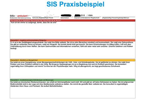 Fragen Und Antworten Zur Strukturierten Informationssammlung Mit