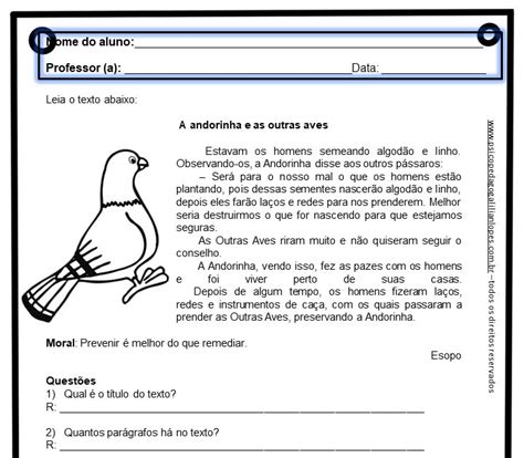 A Andorinha E As Outras Aves - Interpretação de texto: a andorinha e as outras aves