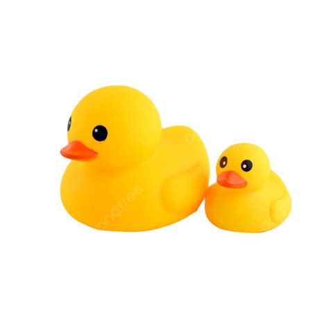 Rubber Duck Bathroom Entertainment, Rubber Duck, Child, Summer PNG ...