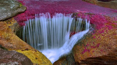 Caño Cristales, Colombia | Geology Page