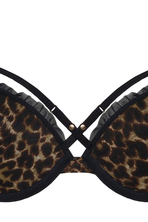 Vixen Push Up Bra