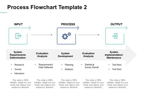 Process Flowchart Process Ppt PowerPoint Presentation Professional Sample