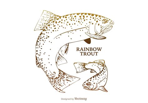 Free Rainbow Trout Vector Illustration 130392 Vector Art At Vecteezy