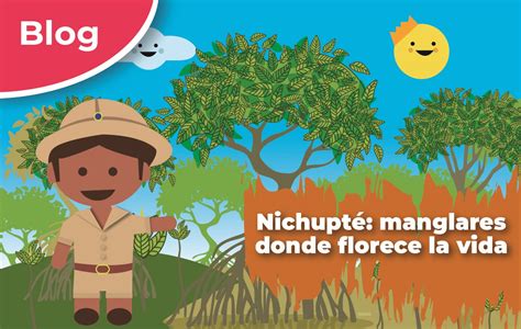 Nichupt Manglares Donde Florece La Vida Comisi N Nacional De Reas