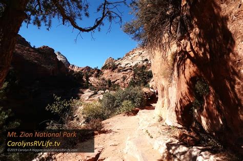 Hiking in Mt. Zion National Park, Utah - Carolyn's RV Life