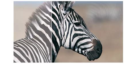 Buy Philips 271V8LA FHD 75Hz Adaptive-Sync 27in Monitor [271V8LA] | PC ...