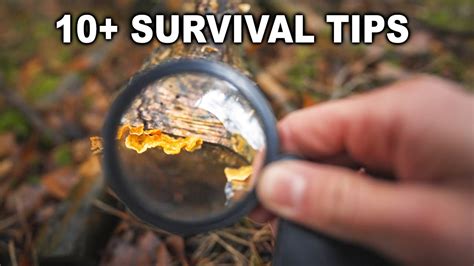 Outdoor Survival Skills Bushcraft Tips