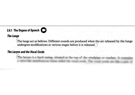 Solution The Organs Of Speech Studypool