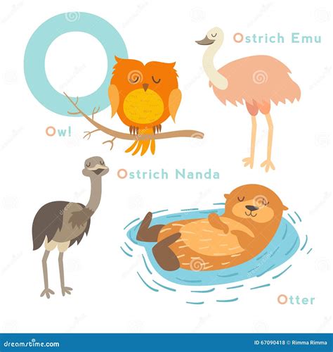 Animales De La Letra De O Fijados Alfabeto Inglés Ilustración Del