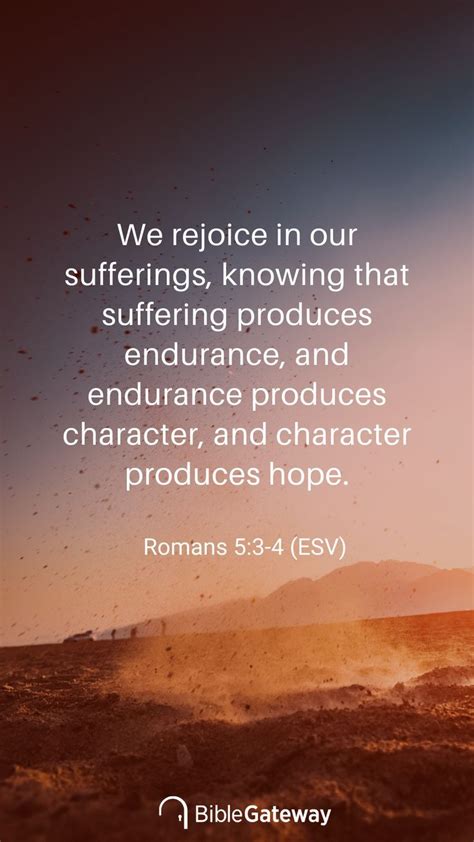 Romans 5 3 4 Daily Bible Verse Life Verses Romans 5 3 4