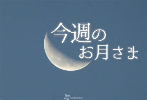 【今週のお月さま】月と惑星たちの共演に注目 ウェザーニュース