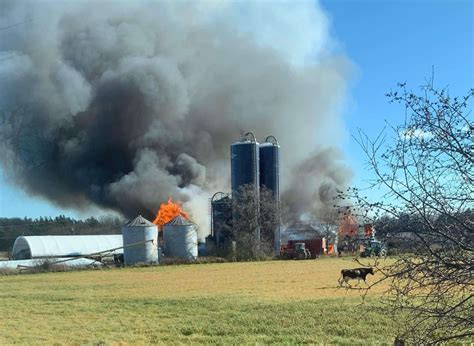 Dairy farm loses majority of cattle in barn fire – Kingston News