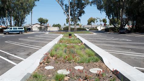 Central Park Parking Lot Bioswale System