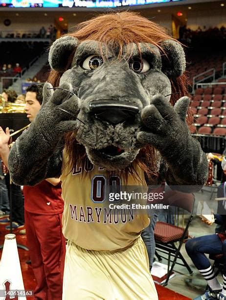 130 Loyola Mascot Stock Photos, High-Res Pictures, and Images - Getty ...