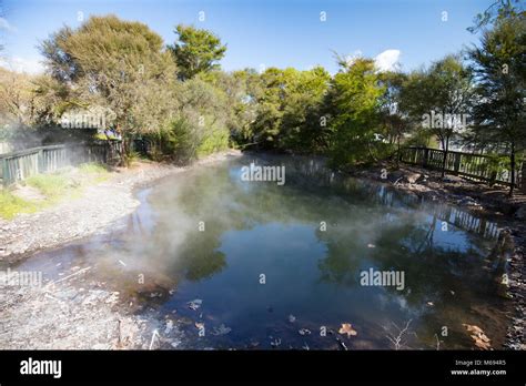 Kuirau Park Rotorua Stock Photo - Alamy