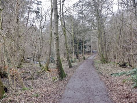 Path Lady S Wood Richard Webb Cc By Sa Geograph Britain And