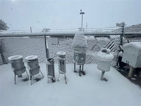 The first widespread snow of the season! (24 January 2023)