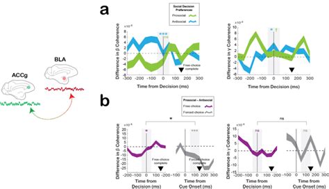 Fig S3 Field Field Coherence Between ACCg And BLA Shows Qualitatively