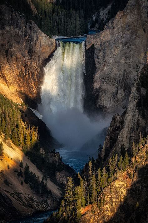 Grand Canyon of the Yellowstone at Sunrise