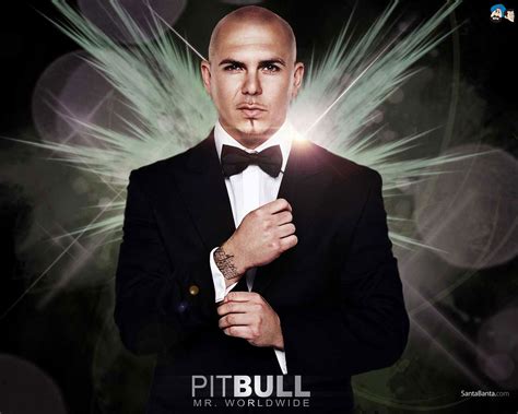 Pitbull Hd Wallpaper 1 Reggaeton Cantantes Daddy Yankee