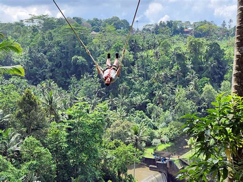 bali swing harga booking jam buka  alamat