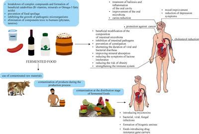 Frontiers Two Faces Of Fermented FoodsThe Benefits And Threats Of