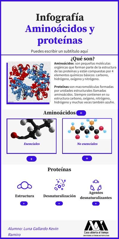 Infografía aminoácidos y proteínas