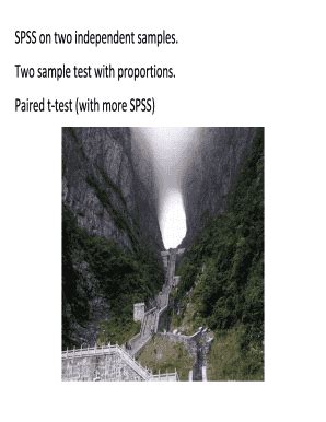 Fillable Online Spss On Two Independent Samples Two Sample Test With