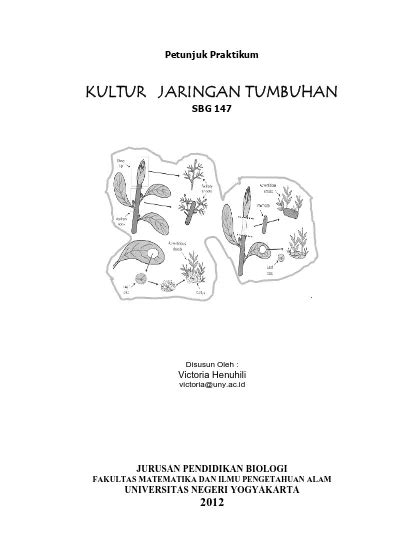 Top PDF Jaringan Penyokong Dan Pengangkut Pada Tumbuhan 123dok