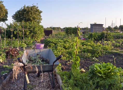 Allotment