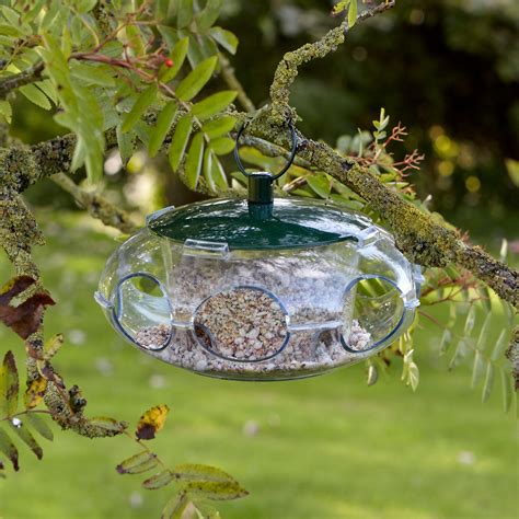 Peckish Small Bird Feeder - Wild Bird Feeders – Peckish UK