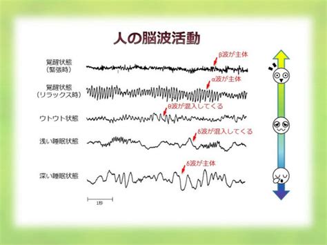 睡眠の定義とは何か 「脳波睡眠」という考え方｜ナショジオ｜nikkei Style