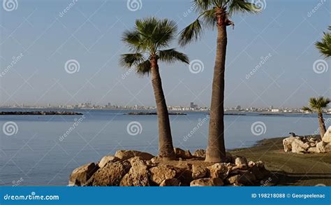 Oroklini Sandy Beach At Larnaca District In Cyprus Island Stock Photo