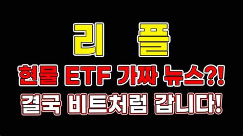 리플 현물 Etf 가짜 뉴스 결국 비트처럼 갑니다 리플코인 리플전망 코인추천 트레이더메타 Youtube