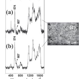 Resonance Raman Spectra 0 632 8 Nm Of PANI DBSA EPDM Blend