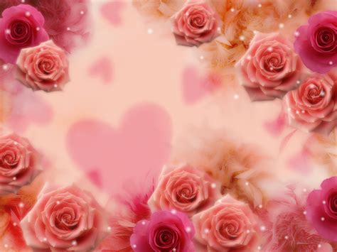 Rose Background, Cute Rose Background, #7706