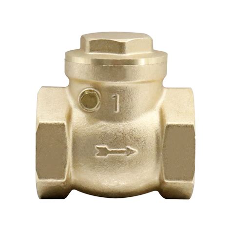 BW C01 Brass Non Return Valve BMAG Valves BESTWAY