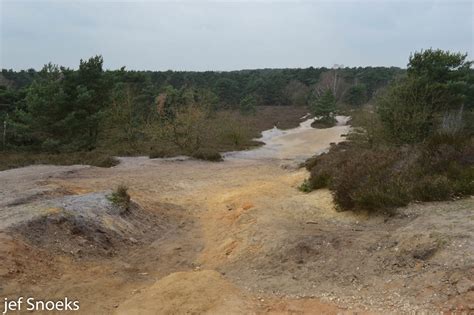 De Teut Zonhoven De Teut Zonhoven Snoeks Jef Flickr