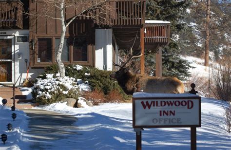 Wildwood Inn Estes Park Co Resort Reviews