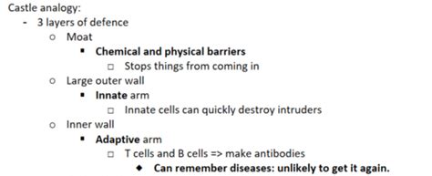 Chapter 21 The Immune System Flashcards Quizlet