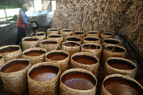 Produksi Gula Merah Antara Foto