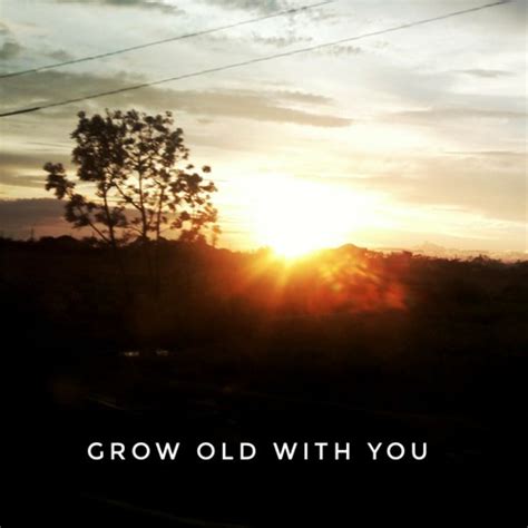 Stream Adam Sandler- Grow Old With You(Cover) by Luke Josue | Listen ...