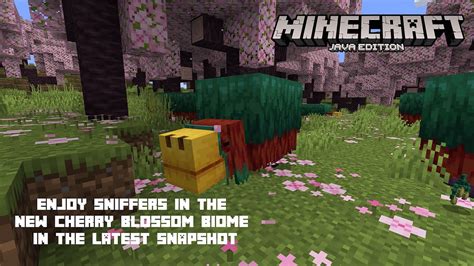 Enjoy Sniffers In The New Cherry Blossom Biome In The Latest Minecraft