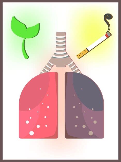 Affiche éducative D illustration Vectorielle Simple De Poumons Sains Et